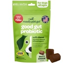 Probiotické žvýkání pro psy Gut zdraví 124; Chutné Pre a Probiotika pro psy Stravovací zdraví s dýňových psů Probiotika a trávicí enzymy 124; NASC Certified & Made in the USA