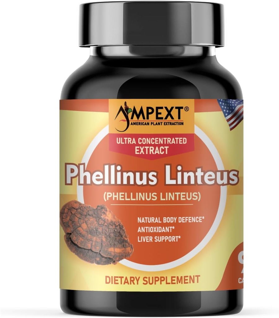 Phellinus linteus Houba Extract - Premium Quality, Only Fruiting Body, Antioxidant, Imunity Booster, Podpora jater, 90 Veg Caps.