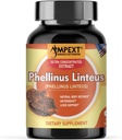Phellinus linteus Houba Extract - Premium Quality, Only Fruiting Body, Antioxidant, Imunity Booster, Podpora jater, 90 Veg Caps.