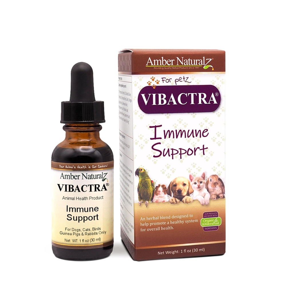 Amber NaturalZ Vibactra Imunitní podpora Bylinné doplňky pro psy, kočky, ptáci, Guinea Prasata, a Králíci 124; Pet Bylinné směsi pro celkové zdraví 124; 1 Fluid Ounce skleněná láhev 124; Vyrobeno v USA