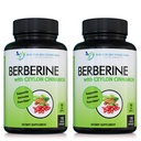 Berberine s Ceylon Skořicí - 1200mg Berberine & 100mg Organic Ceylon Skořice - 120 Veggie Kapsle, Zdravý imunitní systém Kardiovaskulární srdce & Gastrointestinální Wellness (Balení po 2)