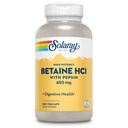 Solaray High Potency Betaine HCL s Pepsin - Doplněk kyseliny chlorovodíkové pro stravitelné zdraví - s Betaine Hydrochloride and Digestive Enzymes - Gut Health Support - 60denní záruka, 250 VegCaps