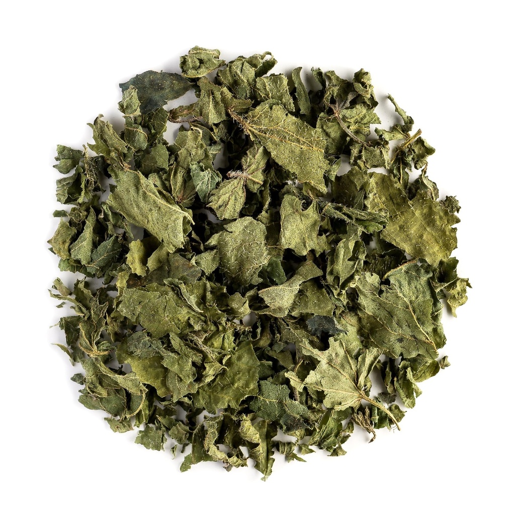 Kopřivka Listový čaj Organický Bylinný - Sušený pánevní Nettles - Urtica Dioica - Organický pánevní Nettle Tea Nettles Chalupa Nettke Leaf Sured Nettle Leaves Nettles Herb Suchý Nettle Tea Leaves Organic
