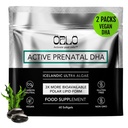 Orlo PRENATAL DHA - Prenatální DHA Omega 3 dodatek - Triple Strength Omega3s - Vegan DHA & EPA Algae Omega33 Oil - Podporuje vývoj mozku během těhotenství a kojení (120 Mini Softgels)