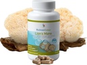 Houbová věda Lions hříva Houba Kapsle, Paměť & Koncentrace Podpora, Full Spectrum Extract, Houbový dodatek pro dospělé, Horká voda extrahované houby, Vegetariánské, 300MG, 90 ct