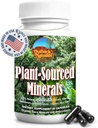 Fulvic Humic Mineral Blend of Trace Minerály, Elektrolyty, Gut Health, Kognitivní funkce, Hydratace a imunitní podpora, Čistá vitalita Formule pro Wellness - 60 Kapsle