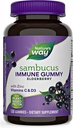 Natury + Way Sambucus Elderberry Gummies, s vitaminem C, vitaminem D a zinkem, imunitní podpora pro děti a dospělé, 120 Gummies