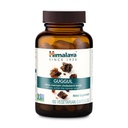 Himalaya Guggul - Podpora jater na jaterní detox, cholesterol, HDL & LDL podpora - Vegan, Non- GMO, gluten zdarma, 720 mg, 60 Kapsle