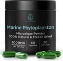Marine Phytoplankton Kapsle od holistic Bin 124; přirozeně pěstované v severské mořské vody 124; Vegan Omega 3 dodatek 124; bohaté na aminokyseliny, chlorofyl, vitaminy, a stopové minerály