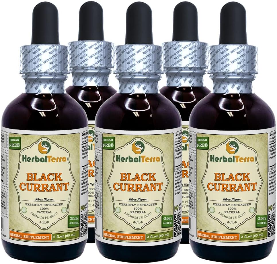 Černý rybíz (Ribes nigrum) Tinktura, sušený listí tekutý extrakt (značka: HerbalTerra, Proudly Made in USA) 5x2 fl.oz (5x60 ml)