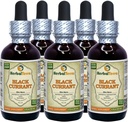 Černý rybíz (Ribes nigrum) Tinktura, sušený listí tekutý extrakt (značka: HerbalTerra, Proudly Made in USA) 5x2 fl.oz (5x60 ml)