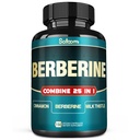 Satoomi 25in1 Dodatek Berberine - Berberine Hcl - Ceylon Skořice - Mléko Thistle a další