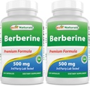 Nejlepší Naturals Berberine 500mg 120 Kapsle - Podporuje imunitní funkci, kardiovaskulární a gastrointestinální funkce (120 Počet (balení po 2))