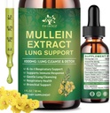 (2 Pack) 6 V 1 Mullein Drops for Lungs, Organic Mullein Leaf Extract Tinkture for Lungs, Detox Cleanse & Respirační pro dýchací zdraví, Mullein olejový dodatek imunitní podpora, Vegan, 1 Fl Oz