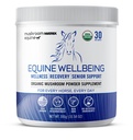 Om Houba Matrix - Hovězí 124; Wellbeing 124; USA Grown Human- Stupeň Organic Houshum Powder Show Safe Horse Supplement 124; Wellness, Recovery, & Senior Podpora 124; 300 Grams, 10.5 oz