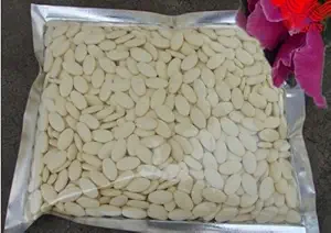 100% Pure &Organic Royal Jelly lyophilized Powder Tablet 100 Grams 10-HAD ＞6.0%