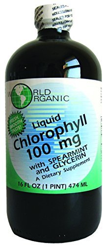 Liquid Chlorofyl Liquid s mátou, 16 Fluid Ounce