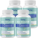 Probiotika pro ženy a muže, 300 miliard CFU 24 Strany Probiotika + 15 Organic Herbs Prebiotics Blend, Stabilní Gut Zdravotní dodatek pro stravovací imunitní & Whole- Body Health, 8 Měsíce Dodávka