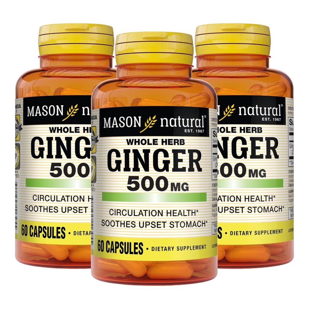 MASON NATURAL celý Herb Ginger 500 mg, 6 měsíční dodávka, přírodní bylinný dodatek, 60 Kapsle (3 balení)