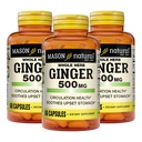 MASON NATURAL celý Herb Ginger 500 mg, 6 měsíční dodávka, přírodní bylinný dodatek, 60 Kapsle (3 balení)