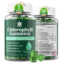 Chlorofylové žvýkačky - Super zelená s pšeničnou trávou, Mosy moře, nefiltrovaná ACV & Elderberry, Echinacea, Zinkový komplex a vitamín D3, C, E, B12 pro přírodní deodorant, Imunitní a potravní podpora, 60 Žvýkačky