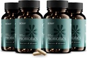 BIOMA Probiotika pro řízení hmotnosti a trávicí zdraví, 3 v 1 Gut zdraví Probiotika a Prebiotika / Postbiotika, Pomalé uvolnění Synbiotické Probiotické kapsle pro Gut zdraví Multi enzyme (240 Caps)