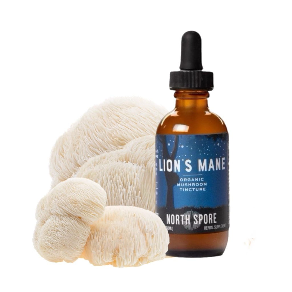 Severní Spore Organic Lion 's Mane Houba tinktura (2 oz) 124; 100% Fruiting Body Extracts C124; pro Focus, Paměť, Brain Support C124; Certified Organic, Vegan, Non- GMO C124; Adaptogenic, Nootropní C124; Made in USA