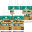 Spermidin dodatek 15 MG - 99% čistota, vysoká absorpce, 1500 MG fermentovaný pšeničný Germ extrakt se zinkem & Thiamin, spermidin pro muže a ženy - Buněčná obnova, aging defense, Energy, 240 Softgels
