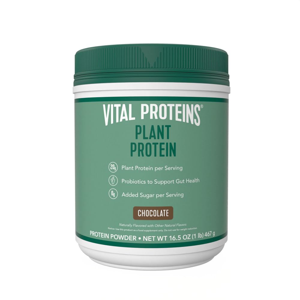 Bílkovinný prášek z vitálních proteinů - 20g rostlinného proteinu s Chickpea - 1B CFU Probiotic for Gut Health, No Add Sugar - Chocolate, 16.5 oz