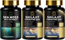 Sea Moss a Shilajit Kapsle pro muže a ženy, Vše v 1 Doplňky k Shilajit, Moss Moss, Coenzym Q10, Černé semeno, Ashwagandha, Burdock pro energii, Antioxidant a imunitní podpora