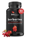 Berberine Advanced Plus s 1200mg Berberine - 100mg Ceylon Cinnamon a 100mg Green Tea Extract - 1400mg Per Dose - 120 Kapsle - 60 Day Supply - Podporuje imunitní a kardiovaskulární