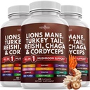 NEW AGE Lions Mane Houbový dodatek s krůtí ocas Reishi Cordyceps Chaga s Marshmallow Root 180 Počet