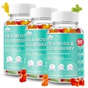 BIO VITALICA Moss Gummies Elderberry Biologica - Vitamin C D + Zinek - Irský Seamoss Vegan Gummy s Moss Moss Gel & Powder for Immunity, Detox - pro dospělé a děti (3Packs)