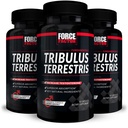 FORCE FACTOR Tribulus Terrestris pro muže, 3- Pack, Tribulus Testosteron Booster pro muže, mužský doplněk Vitality, Tribulus Extract & přírodní složky pro Superior Absorpce, 1000mg, 180 Kapsle