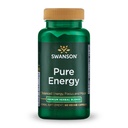 Swanson Pure Energy Metabolismus Koncentrace Koncentrace Podpora koncentrace Stress Management Adaptogenic Herbs Bylinné doplňky 60 Veggie Kapsle (Veg Caps) Vegan