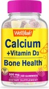 WellYeah vápník 500mg + vitamin D3 1000 IU (25 mcg) Žíly - zdraví kostí a svalové support, imunitní podpora Gummy, Non GMO, Gluten zdarma, Mix ovocných příchutí - 60 Žvýkačky