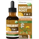 Dandelion Root Extract Drops, Diente de Leon Organico Hierba, Dandelion dodatek Formule w / Mléko Thistle Turmeric pro Detox Cleanse, Digestion & Imunitation Support, Alcohol- Free Tinkture. 2oz