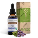 Bugleweed USDA Organic CLANE124; Alcohol- Free Extract, High- Potency Bylinné kapky, Respirační systém CLANE124; Vyrobeno ze 100% Certified Organic Bugleweed (Ze Lan, Lycopus Virginicus) Sušený Herb (2 FL OZ)