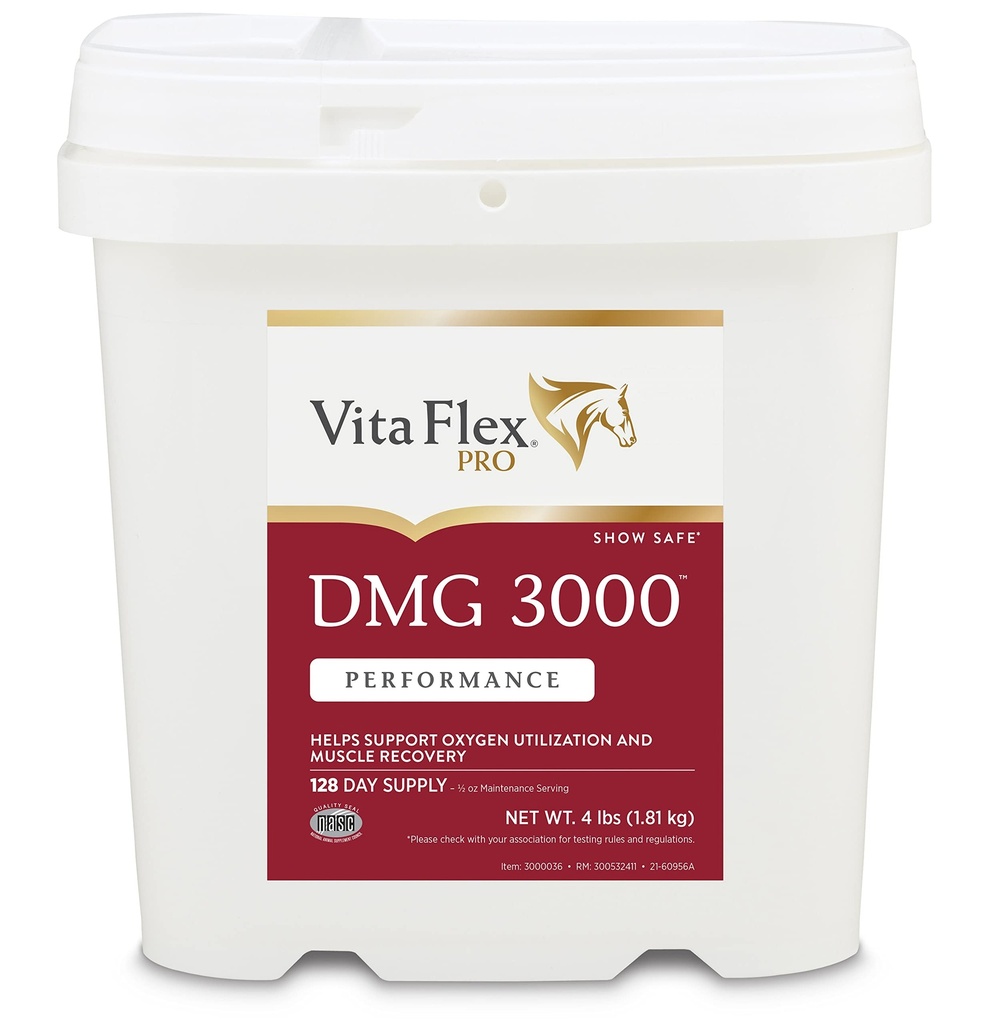 Vita Flex Pro DMG 3000 Kůň DMG koncentrát, 4 libry, 128- denní zásobování