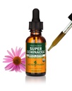 Herb Pharm Certified Organic Super Echinacea Liquid Extract for Active Imunitary System Support - 1 Ounce (DSUPER01)