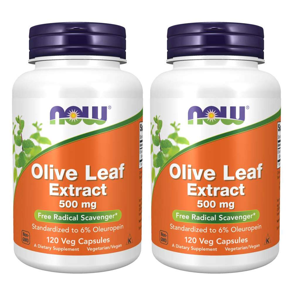 Nyní potraviny Olive Leaf Extract 500mg Standardizované na 6% Oleuropein, 120 Vicaps (2 balení)