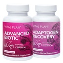 Vitální plán Imunitní podpora doplňky Dr. Bill Rawls - Imunity Boost Bundle w / Japonská Knotweed, Kočičí dráp, Čínská skullcap & Reishi Houba