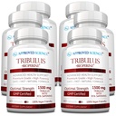 Schválený vědecký Tribulus Terrestris - 360 Kapsle - Zvyšuje testosteron, zlepšuje atletickou výkonnost, podporuje růst a opravy svalů - 95% Furostanol Saponiny - Bioperin - Vegan - 6 Lahvičky