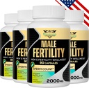 Plodnost doplňky pro muže, mužské prenatální vitaminy - optimální počet spermií, motilita a síla, 2000MG Mens plodnost doplňky s Maca kořene, Zin & Folát pro početí - Balení 4