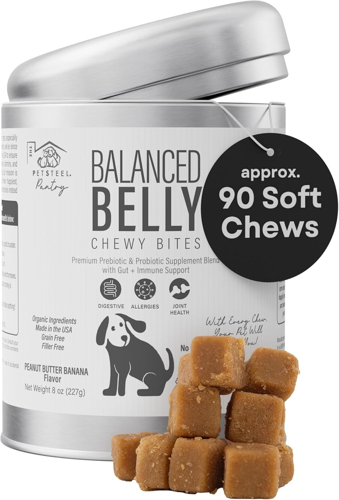 Vyvážený Belly Probiotika pro psy - Trávicí Chews zdraví s prebiotika, Alergie & Společná podpora - Probiotický Dog dodatek pro Gut zdraví, Průjem Relief, a Itchy Skin - 90 Měkké Chews