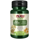 Nyní Pet Health, G.I. Support Supplementary, Kompatibilní pro kočky a psy, NASC Certified, 90 Žvýkací tablety