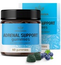 HERBAMAMA Adrenal Support Gummies - Pure Adrenal Complex Dodatek pro ženy s Ashwagandha Root, Rhodiola Rosea & Magnesium - Vegan, Non- GMO - 60 Pectin- based Blueberry- ochucené Chews