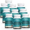 2400 MG Lipozomální Glutathione Softgels, Max Absorpce, Active Form L- Glutathione Reduced (GSH), s Hyaluronic acid, Resveratrol, Master Antioxidants for Detox, Brain, Imunitation System, 600 Softgels
