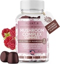 Houba Gummies Premium Dodatek [10 Houba Complex Extract] Delicious & Fast Herecing Lion 's Mane, Reishi, Shiitake Nootropic Brain Support, Imunite Support, Mood & Relaxation, 60 Chews