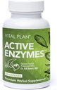 Vitální plán Aktivní Enzymy Dodatek Dr. Bill Rawls - Dědičné Enzymy pro Gut Health & Digestion - Protéza, Bromelain, Lactase, Amylase & Lipáza (120 Kapsle)